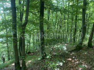 Šuma, Prodaja, Otočac, Sinac