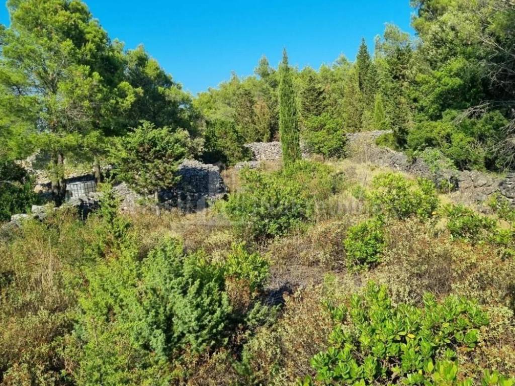 Kamena kuća, Prodaja, Hvar, Hvar