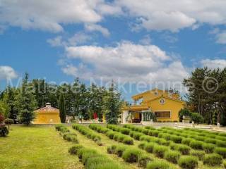 Luksuzna vila, Prodaja, Žminj, Žminj