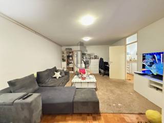 Velika Gorica, Velika Gorica