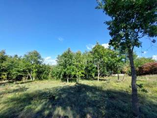 Građevinsko zemljište, Prodaja, Višnjan, Višnjan