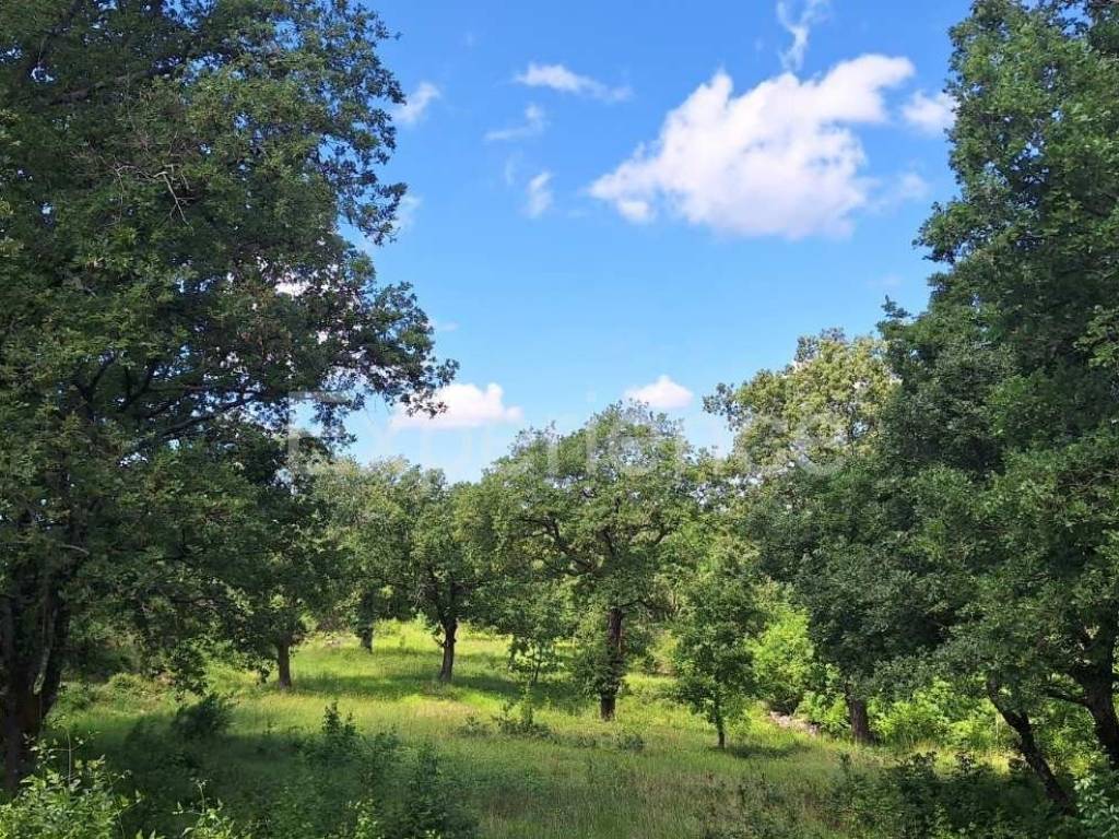 Građevinsko zemljište, Prodaja, Sveti Lovreč, Sveti Lovreč