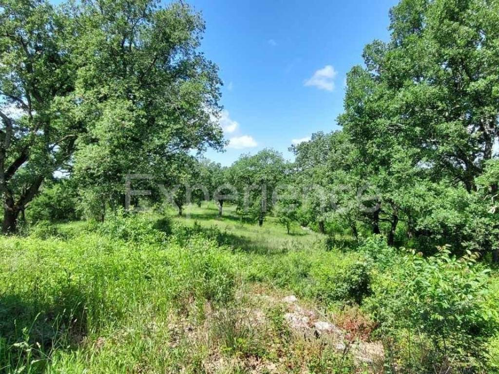 Građevinsko zemljište, Prodaja, Sveti Lovreč, Sveti Lovreč