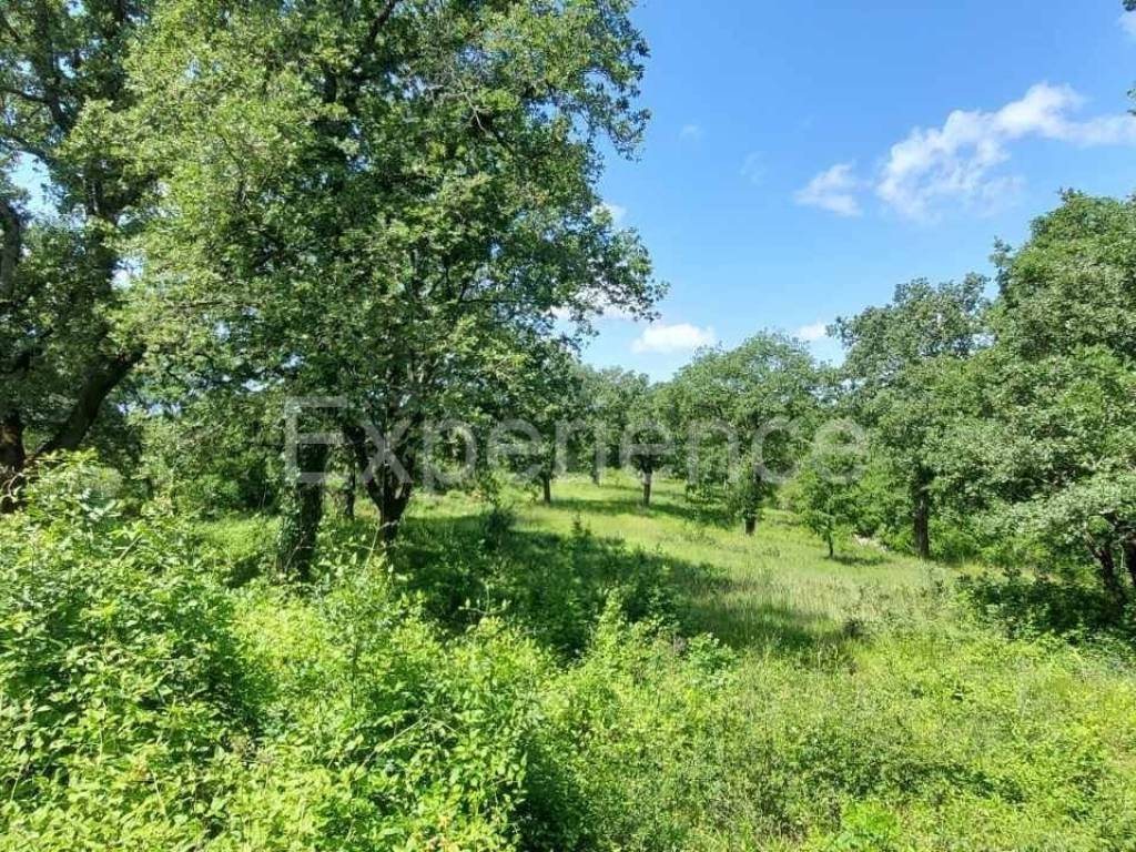 Građevinsko zemljište, Prodaja, Sveti Lovreč, Sveti Lovreč
