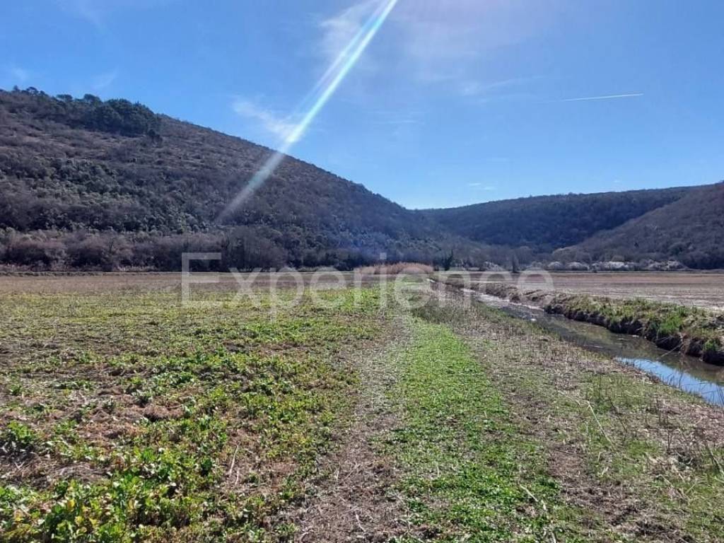 Poljoprivredno zemljište, Prodaja, Kaštelir-Labinci, Kaštelir