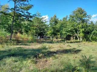 Građevinsko zemljište, Prodaja, Višnjan, Višnjan