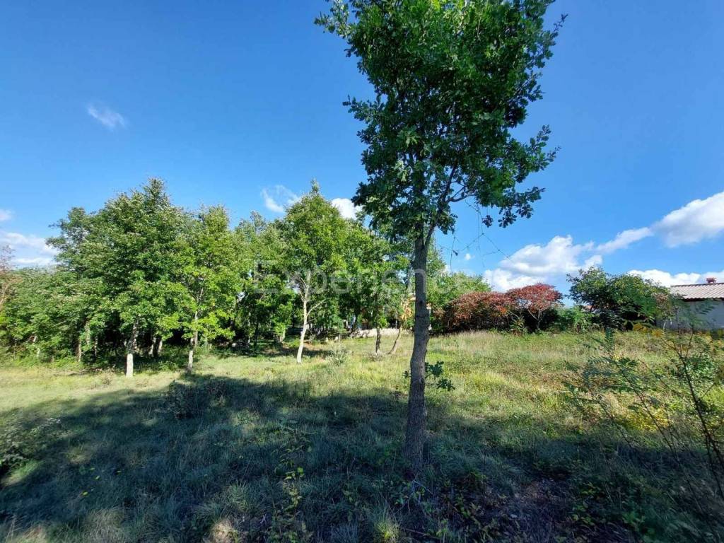 Građevinsko zemljište, Prodaja, Višnjan, Višnjan