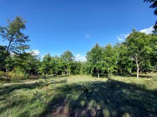 Građevinsko zemljište, Prodaja, Višnjan, Višnjan