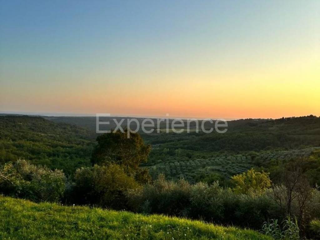 Poljoprivredno zemljište, Prodaja, Buje, Buje