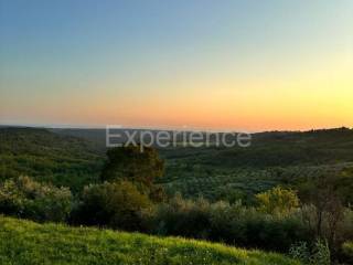 Poljoprivredno zemljište, Prodaja, Buje, Buje
