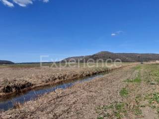 Poljoprivredno zemljište, Prodaja, Kaštelir-Labinci, Kaštelir