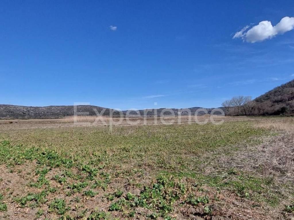 Poljoprivredno zemljište, Prodaja, Kaštelir-Labinci, Kaštelir