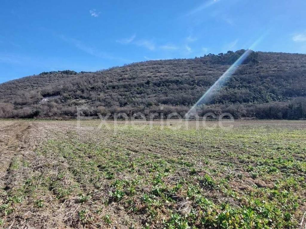 Poljoprivredno zemljište, Prodaja, Kaštelir-Labinci, Kaštelir