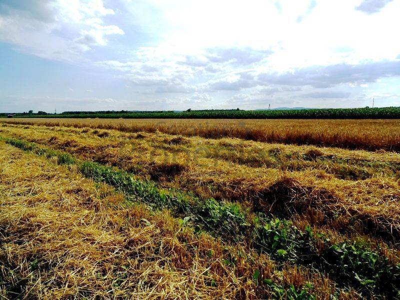 Poljoprivredno zemljište, Prodaja, Jastrebarsko - Okolica, Cvetković
