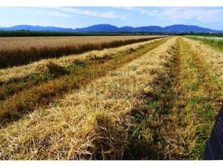 Poljoprivredno zemljište, Prodaja, Jastrebarsko - Okolica, Cvetković