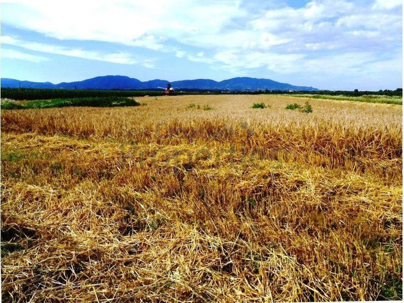 Poljoprivredno zemljište, Prodaja, Jastrebarsko - Okolica, Cvetković