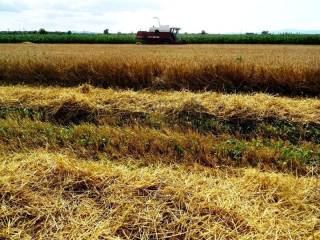 Poljoprivredno zemljište, Prodaja, Jastrebarsko - Okolica, Cvetković