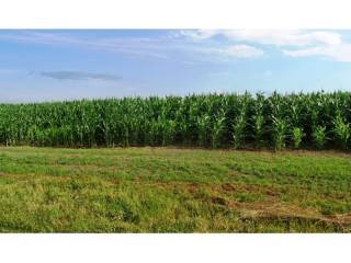 Poljoprivredno zemljište, Prodaja, Jastrebarsko - Okolica, Cvetković