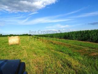 Poljoprivredno zemljište, Prodaja, Jastrebarsko - Okolica, Cvetković