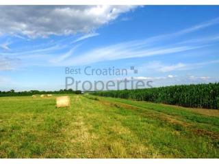 Poljoprivredno zemljište, Prodaja, Jastrebarsko - Okolica, Cvetković