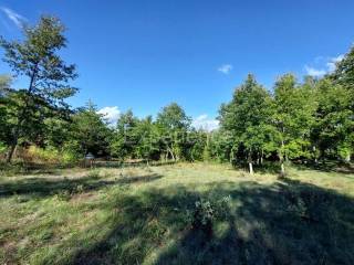 Građevinsko zemljište, Prodaja, Višnjan, Višnjan