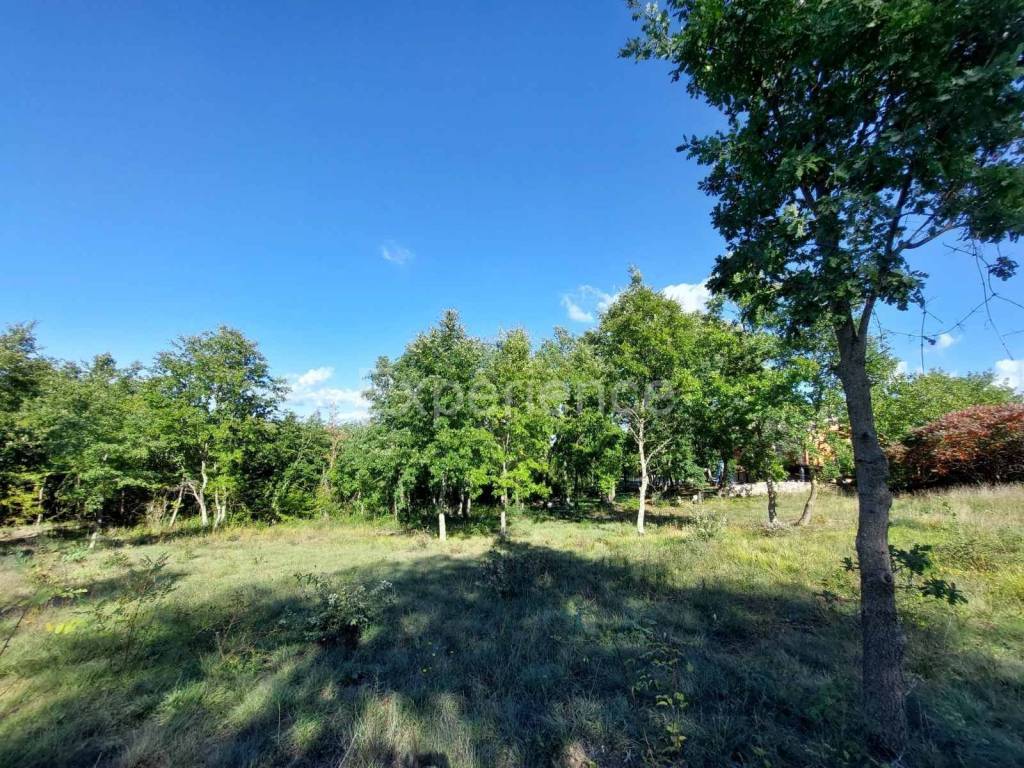 Građevinsko zemljište, Prodaja, Višnjan, Višnjan