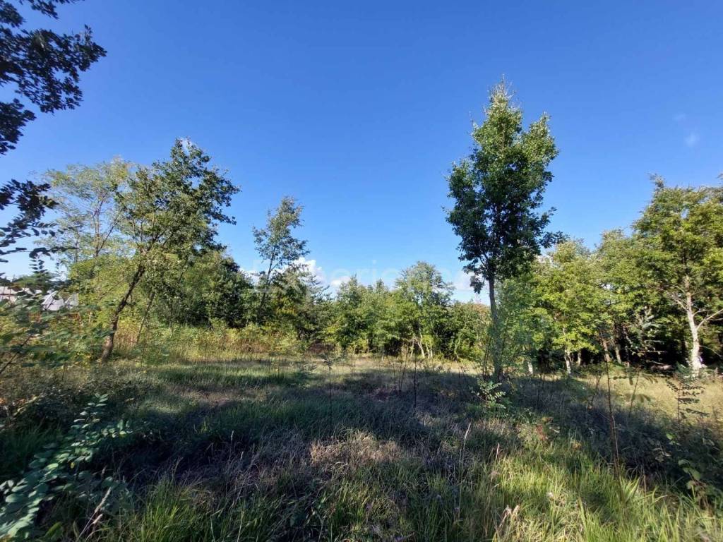 Građevinsko zemljište, Prodaja, Višnjan, Višnjan