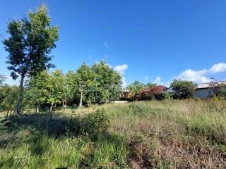 Građevinsko zemljište, Prodaja, Višnjan, Višnjan