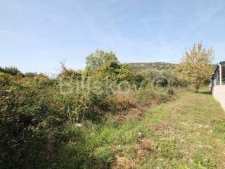 Poljoprivredno zemljište, Prodaja, Kaštela, Kaštel Štafilić