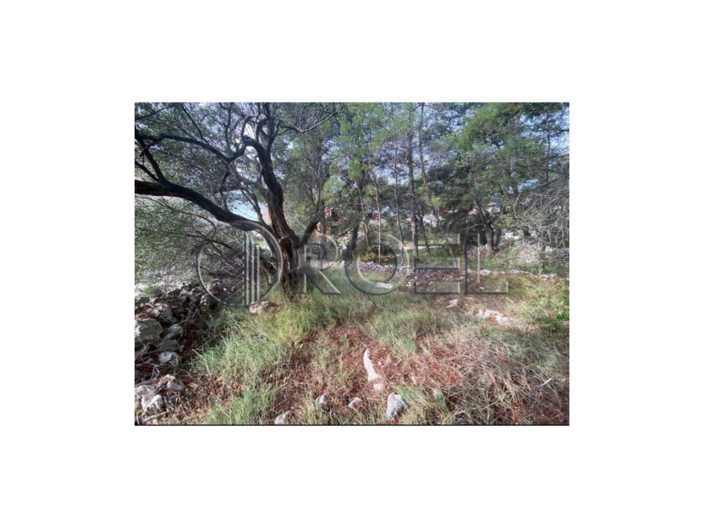 Građevinsko zemljište, Prodaja, Rogoznica, Zatoglav