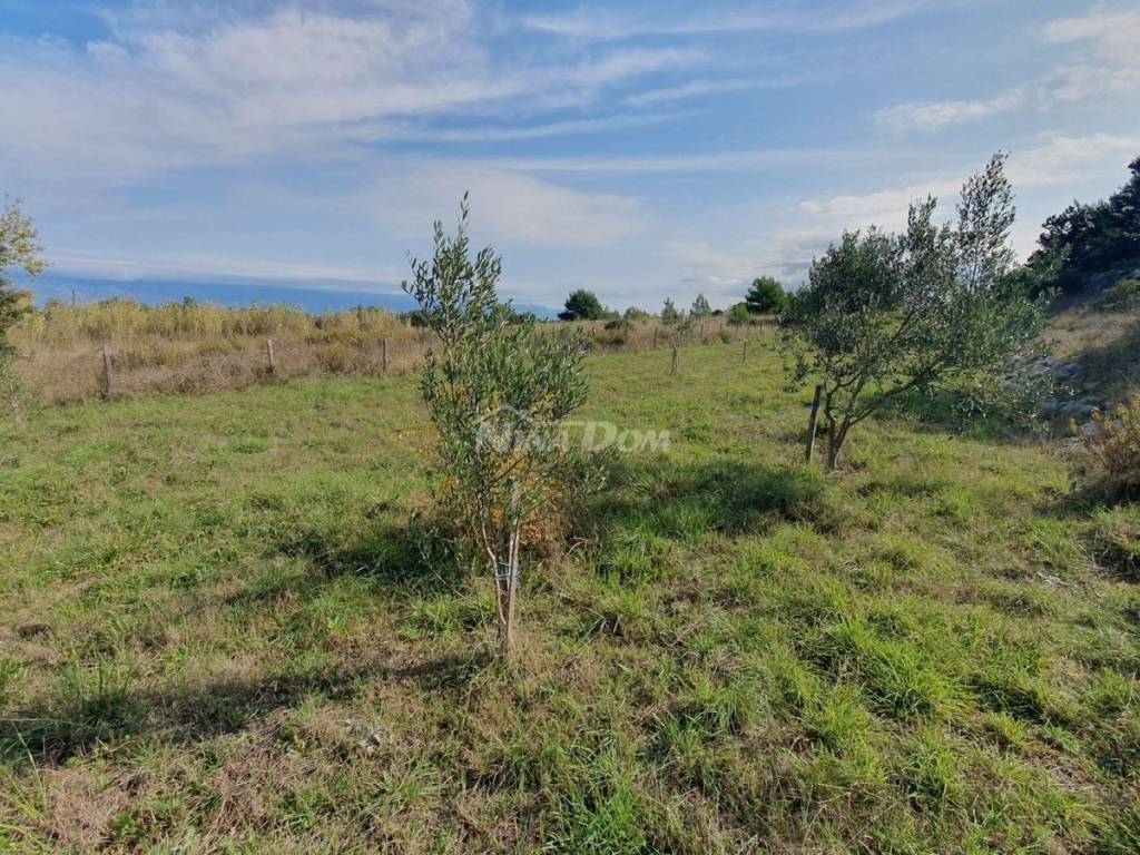 Poljoprivredno zemljište, Prodaja, Vir, Vir