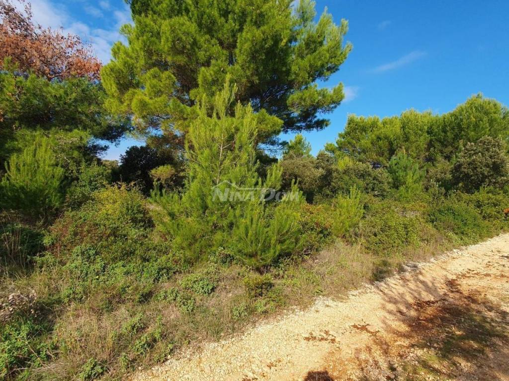 Poljoprivredno zemljište, Prodaja, Vir, Vir