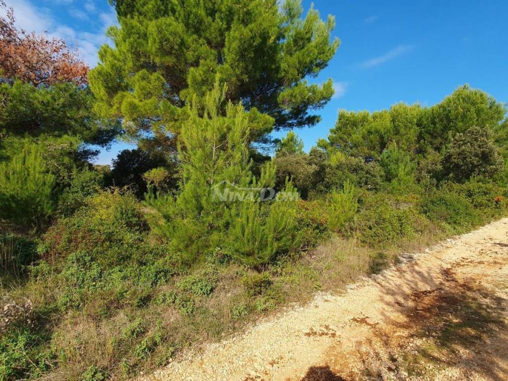 Poljoprivredno zemljište, Prodaja, Vir, Vir