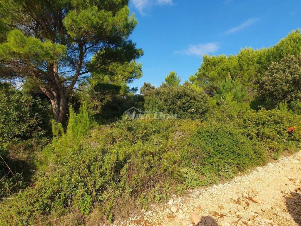 Poljoprivredno zemljište, Prodaja, Vir, Vir