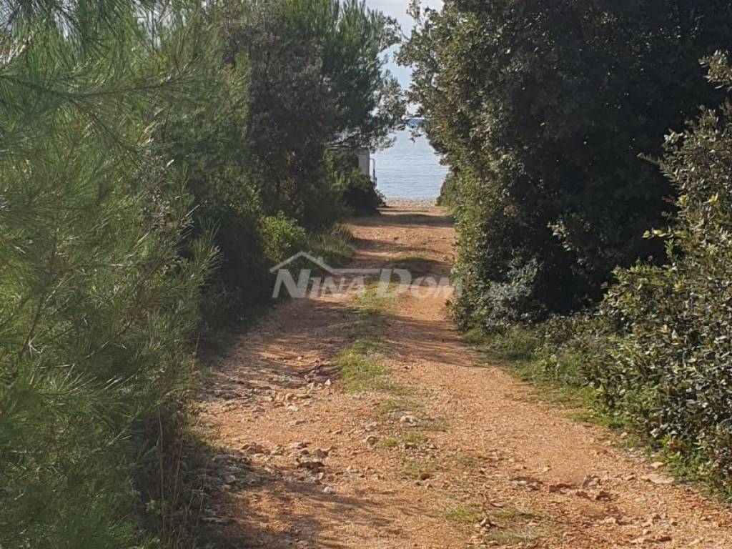 Poljoprivredno zemljište, Prodaja, Vir, Vir