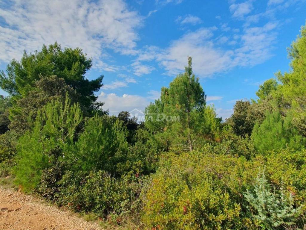 Poljoprivredno zemljište, Prodaja, Vir, Vir