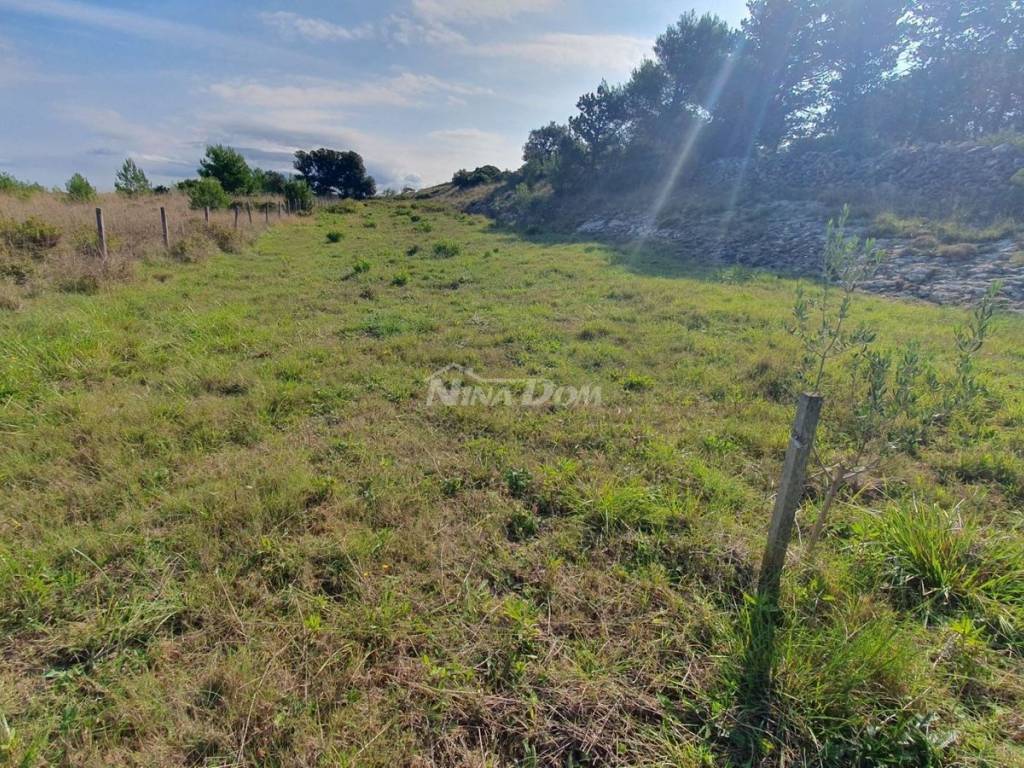 Poljoprivredno zemljište, Prodaja, Vir, Vir