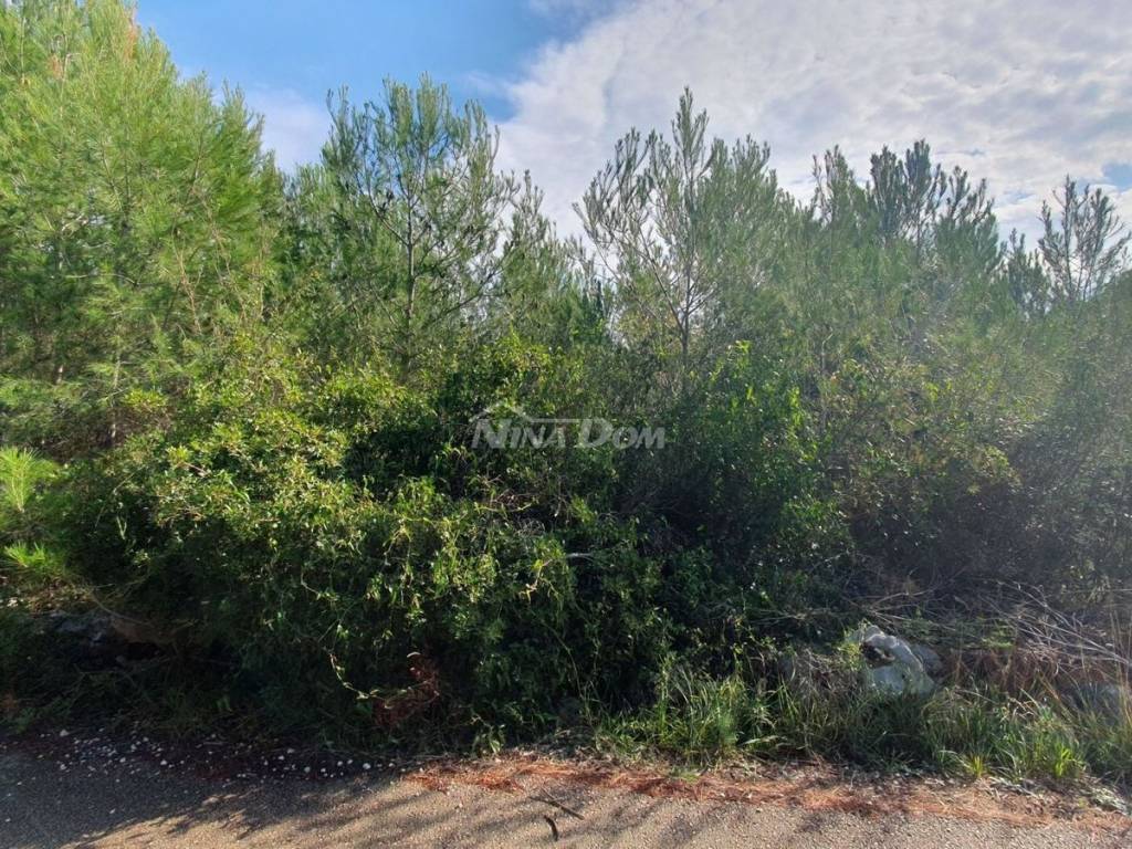 Građevinsko zemljište, Prodaja, Vir, Vir