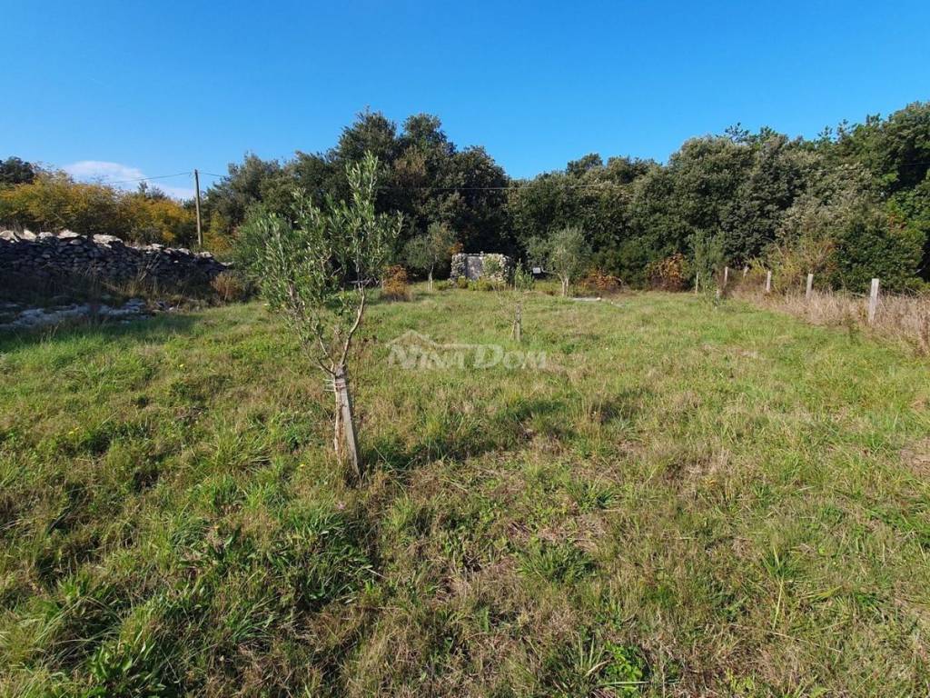 Poljoprivredno zemljište, Prodaja, Vir, Vir