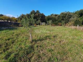 Poljoprivredno zemljište, Prodaja, Vir, Vir