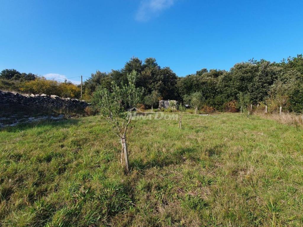 Poljoprivredno zemljište, Prodaja, Vir, Vir