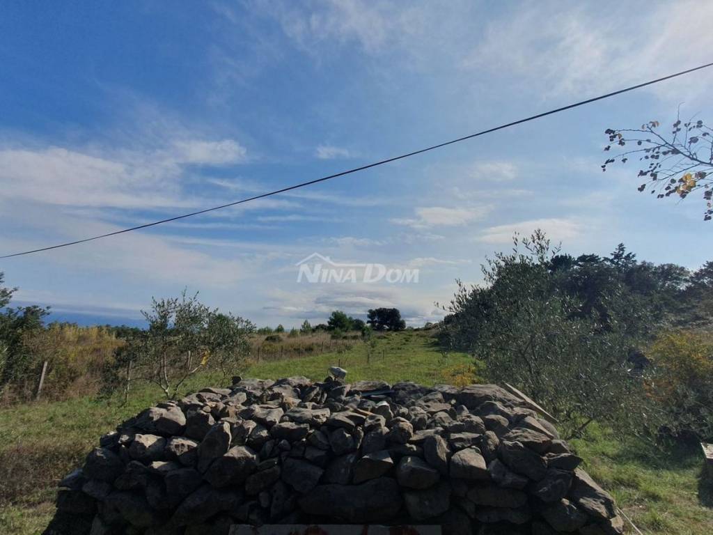 Poljoprivredno zemljište, Prodaja, Vir, Vir