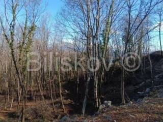 Građevinsko zemljište, Prodaja, Opatija - Okolica, Pobri