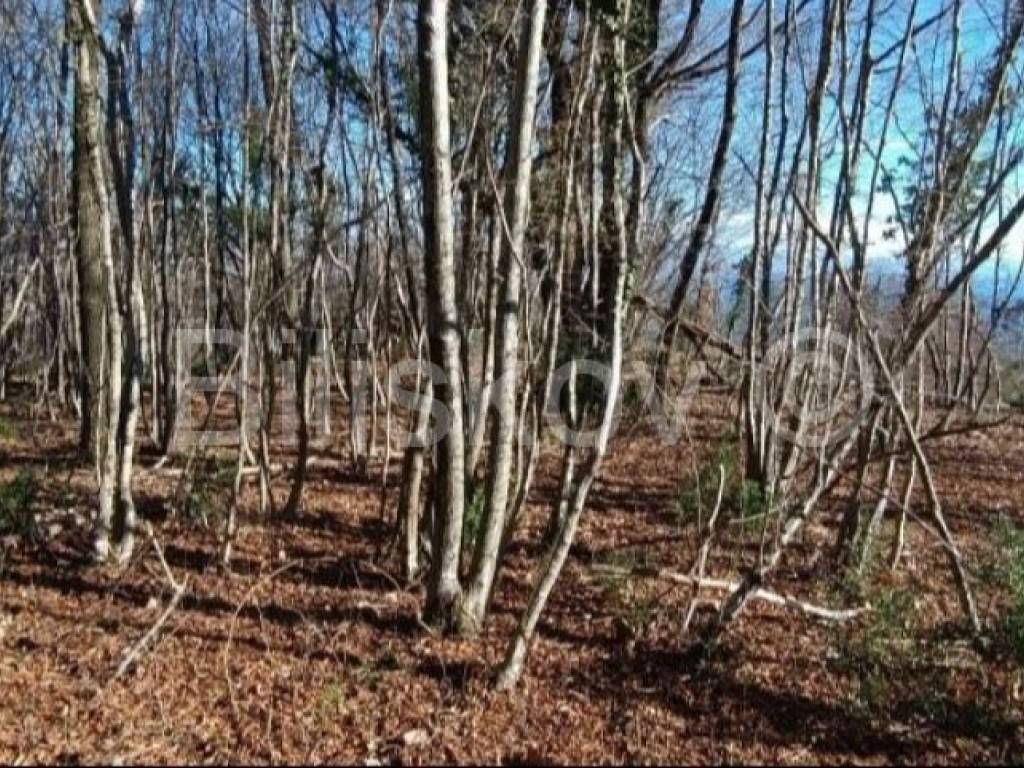 Građevinsko zemljište, Prodaja, Opatija - Okolica, Pobri