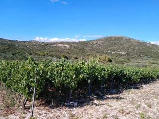 Poljoprivredno zemljište, Prodaja, Marina, Marina