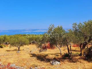 Poljoprivredno zemljište, Prodaja, Sutivan, Sutivan