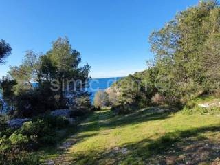 Poljoprivredno zemljište, Prodaja, Milna, Milna