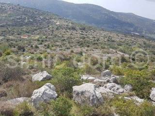Poljoprivredno zemljište, Prodaja, Marina, Marina