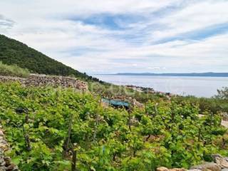 Poljoprivredno zemljište, Prodaja, Bol, Bol