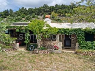 Poljoprivredno zemljište, Prodaja, Bol, Bol